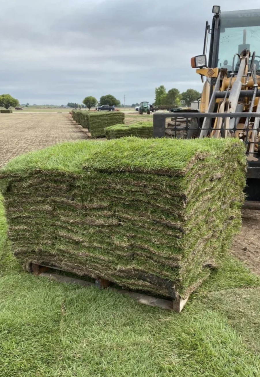 Bermuda sod pallets near equipment on a farm lot